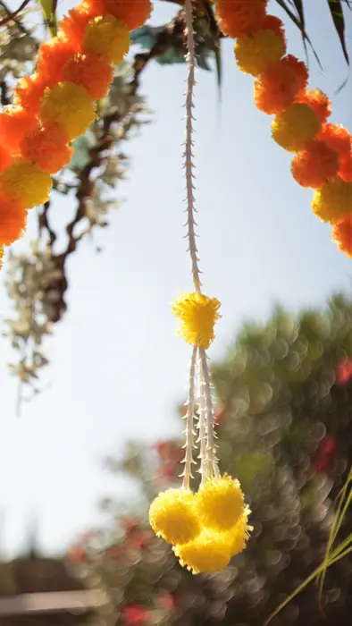 Festival of India, Ibiza