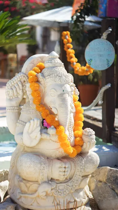 Festival of India, Ibiza